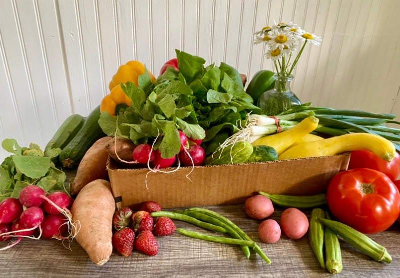 Garden Box