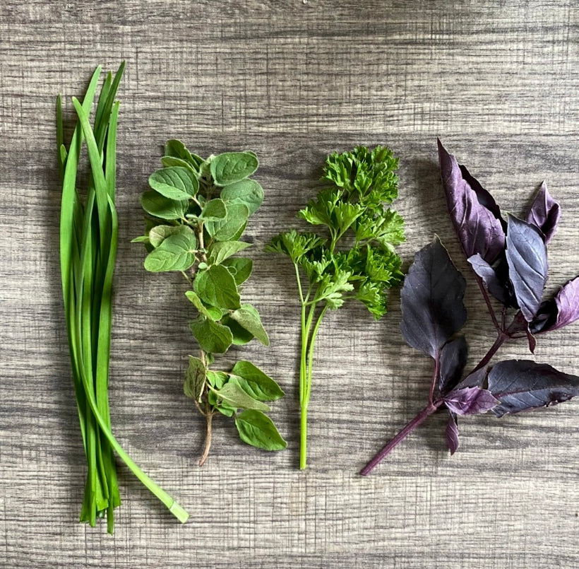 Herbs