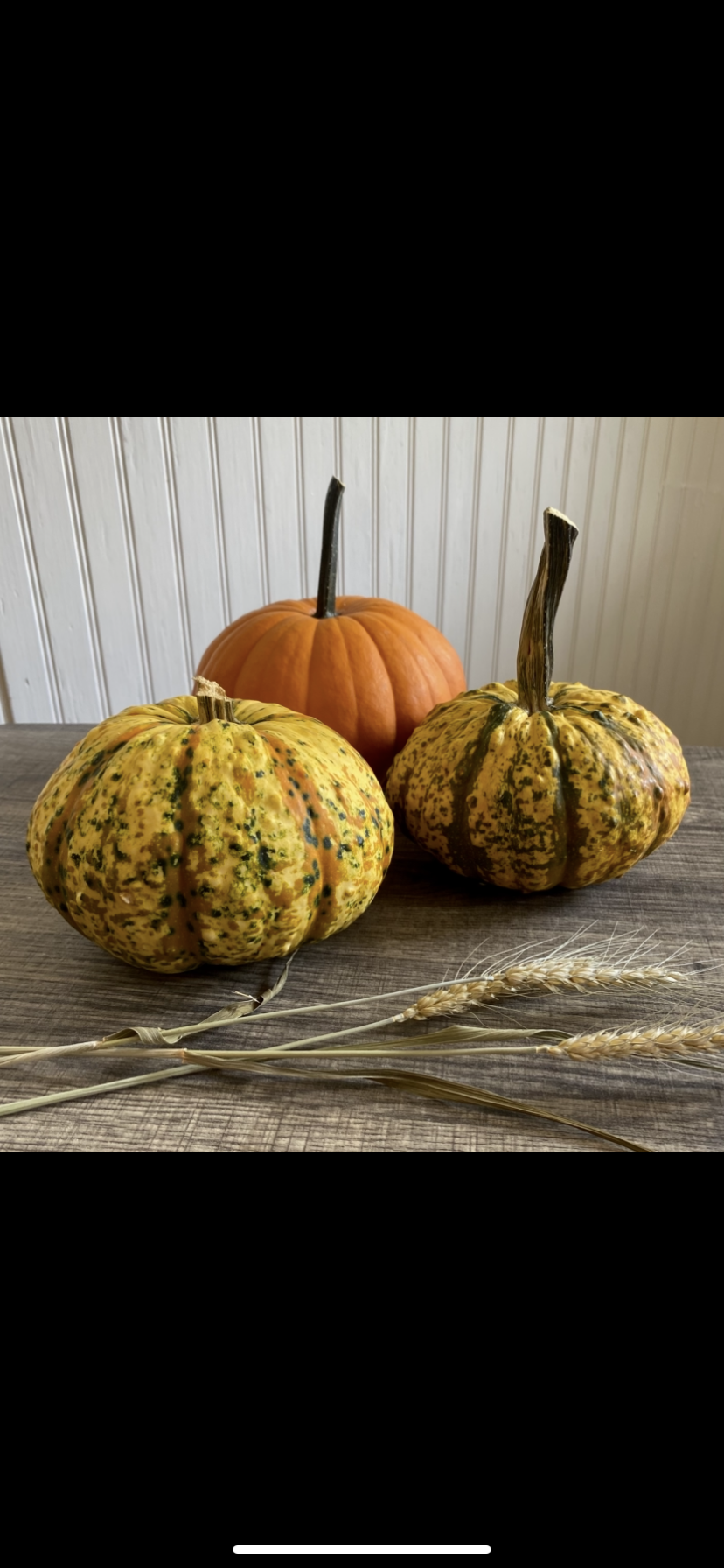 Set of 3 pumpkins