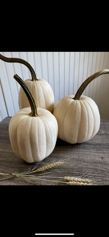 White pumpkins