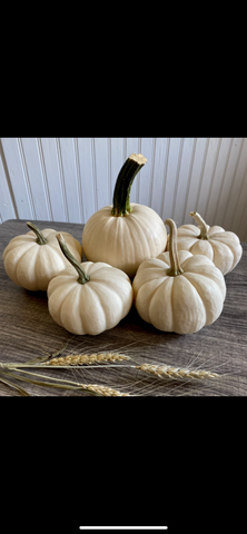 Mini white pumpkins