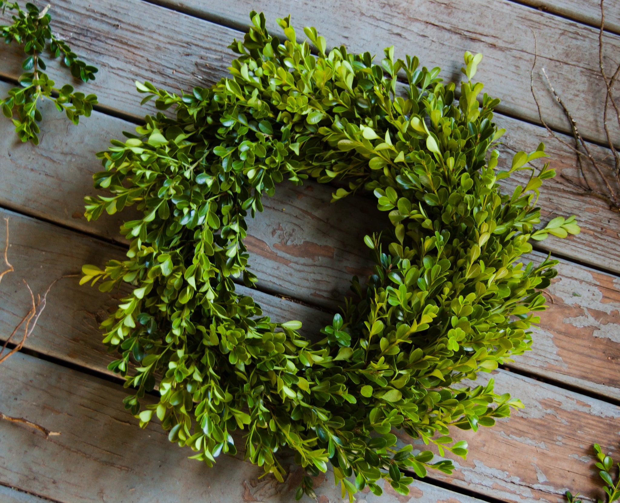 Live Boxwood wreath