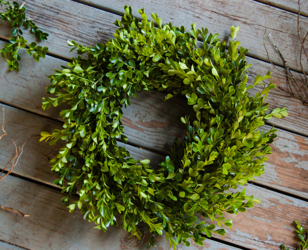 Live Boxwood wreath