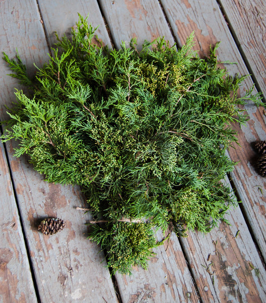 Fresh Cut Cedar Greenery
