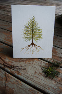 Rooted Cedar