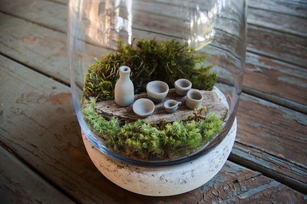 Solace Garden With Miniature Bottles